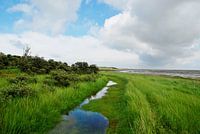 La côte des Wadden