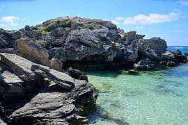 De rotsen beklimmen van Frank's Awesome Travels