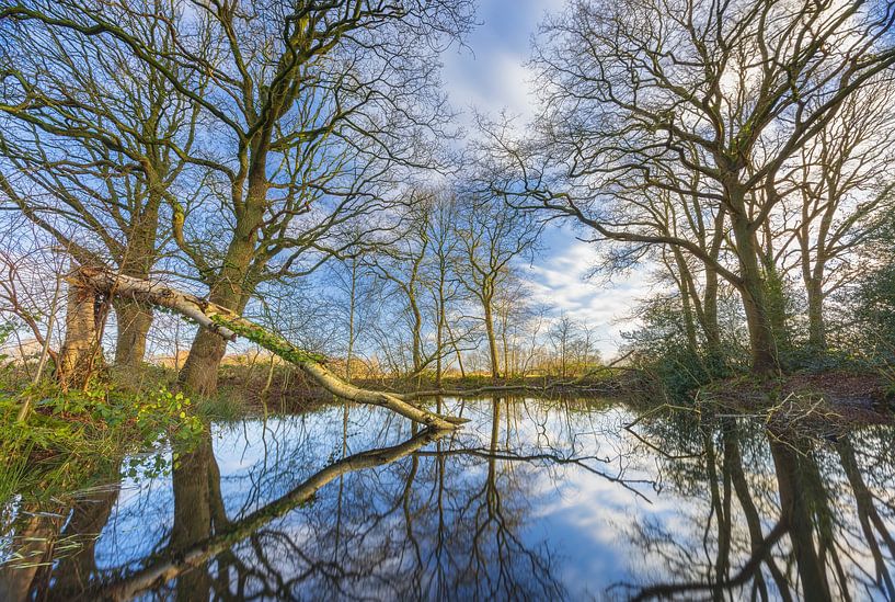 Appelbergen nature reserve - Glimmen (Netherlands) by Marcel Kerdijk