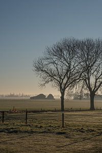 Landelijk van Moetwil en van Dijk - Fotografie