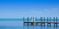 FLORIDA KEYS Ruhiger Ort | Panorama  von Melanie Viola Miniaturansicht