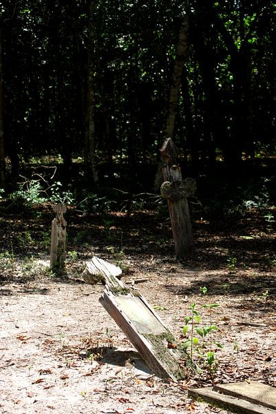 First jewish habitation in Surinam  by Joris Bartholomeus