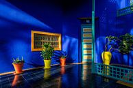 Majorelle blue wall in the Majorelle Garden in Marrakech by Rene Siebring thumbnail