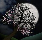 Bloesemboom in de nacht van Bianca Wisseloo thumbnail