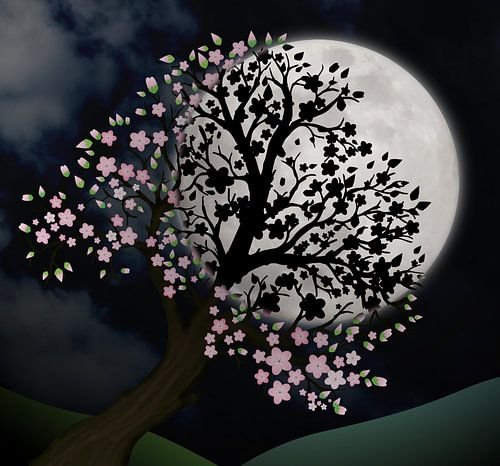 Bloesemboom in de nacht