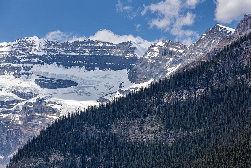 Jasper Park, Rocky Mountains von Marco Linssen