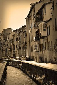 Toskana Italien Lucca Stadtzentrum Sepia