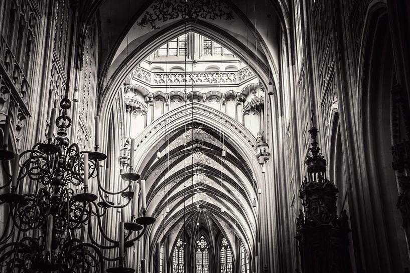 St John's Cathedral Den Bosch 's-Hertogenbosch by Bianca  Hinnen