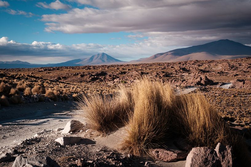 Boliviens Altiplano in Bildern von Sebastiaan Bergacker