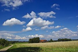 In the Osnabrück Land