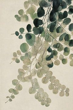 Fougères murmurantes sur Thea