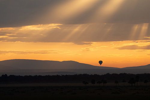 Der Morgen ist in der Masai Mara ausgebrochen.