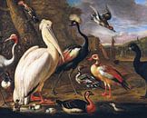 Ein Pelikan und andere Vögel auf dem Wasser, Umkreis von Melchior d'Hondecoeter  von Meesterlijcke Meesters Miniaturansicht