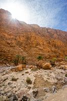 Todgha Gorge - Eline Chiara