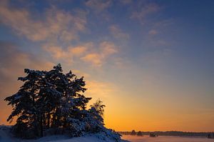 Verschneite Winterlandschaft bei Sonnenuntergang auf dem Hulshorsterzand im Naturschutzgebiet Veluwe