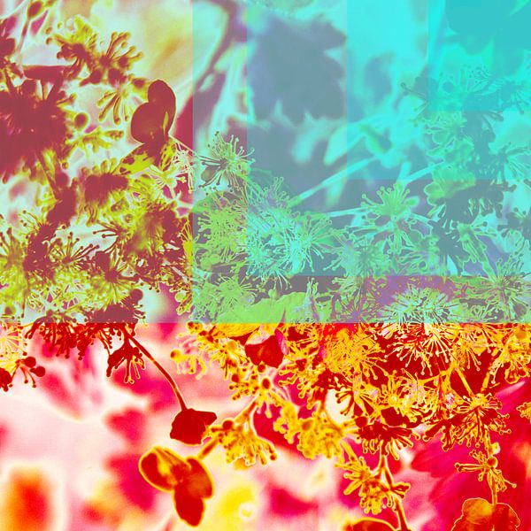 Summer feeling blue by Maikel van der Beek