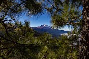 El Teide vulkaan op Tenerife