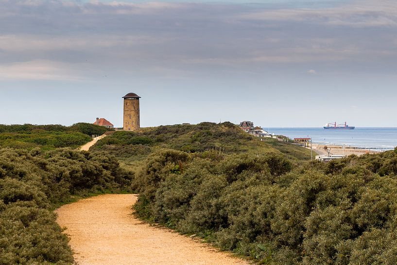 The path to Domburg by Danny Bastiaanse