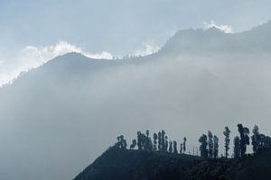Morgenlicht am Mt. Bromo