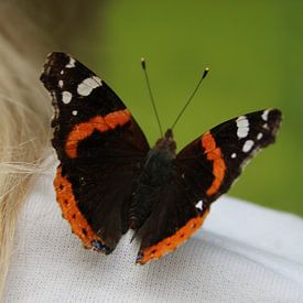 Schmetterling auf der Schulter von Sanne van der Plaat