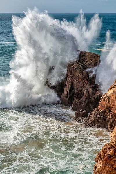 Force of nature by Friedhelm Peters