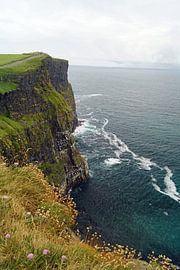 The Cliffs of Moher are the most famous cliffs in Ireland.
