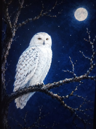 Middernacht