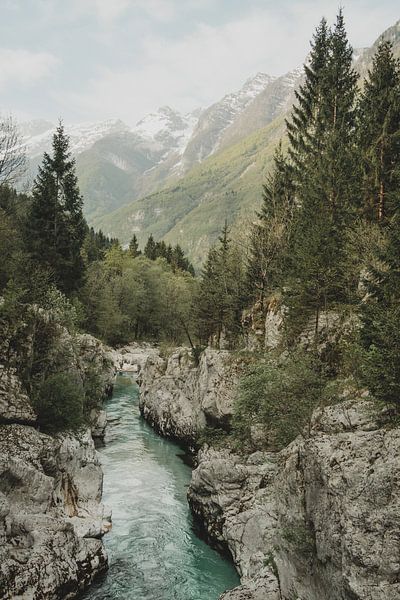Soča Fluss von Paulien van der Werf