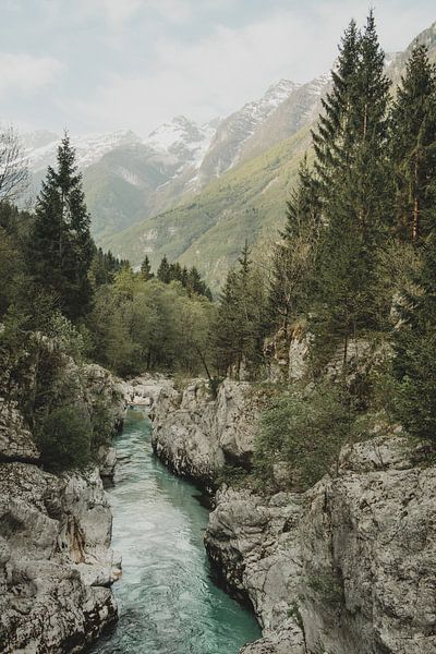 Rivière Soča par Paulien van der Werf