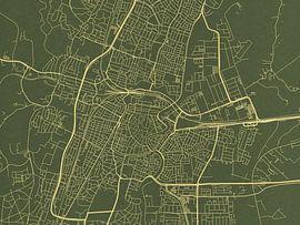 Karte von Haarlem in Grünes Gold von De Kaartenwinkel