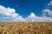 Hollandse luchten