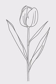 Einfache Tulpen-Linienzeichnung für modernes Design von Art & Soul Creations