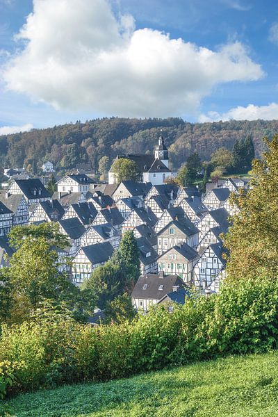 Freudenberg in Siegerland van Peter Eckert