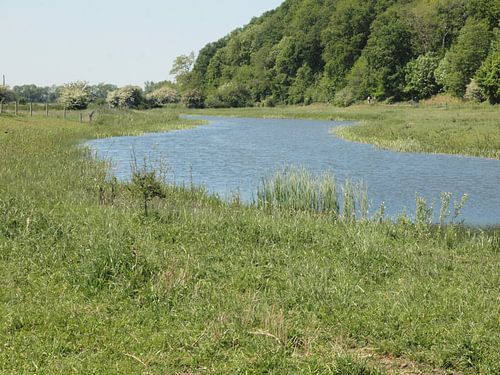 Rivier door weidelandschap langs hartensepad