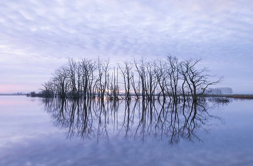 Tusschenwater - De Groeve (Nederland)