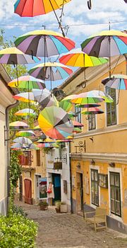 Kleurrijk straatje in Szentendre Hongarije