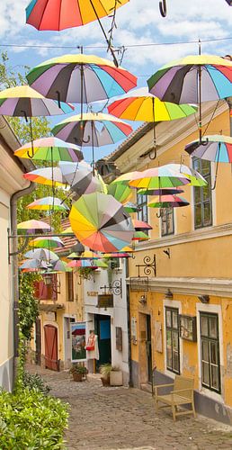 Kleurrijk straatje in Szentendre Hongarije