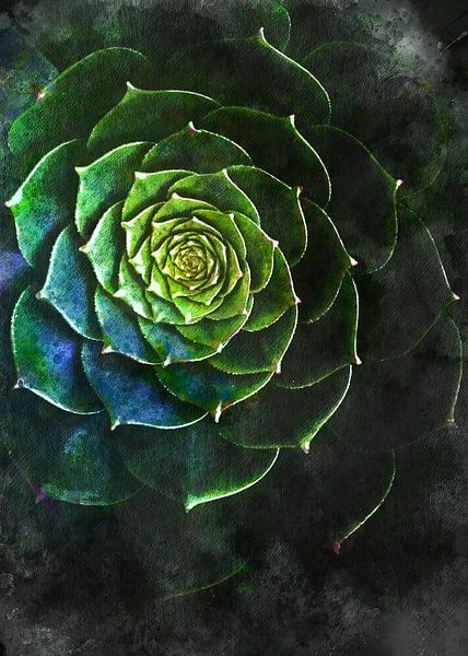 succulents art nature verte #succulents par JBJart Justyna Jaszke