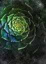 succulents art nature verte #succulents par JBJart Justyna Jaszke Aperçu