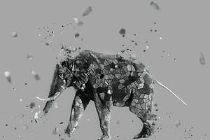 La mosaique de l'éléphant by Catherine Fortin