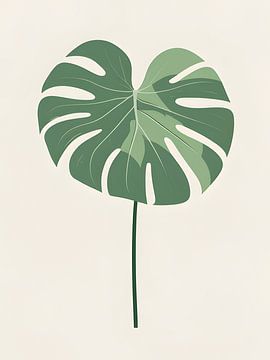 vecteur botanique sur Giandra Safaraz