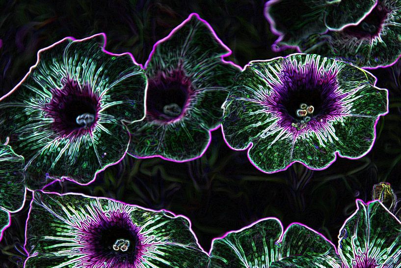 Abstrakte Blumenfotografie von Henk Adriani