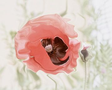 Pastel Poppy van Yvonne Blokland