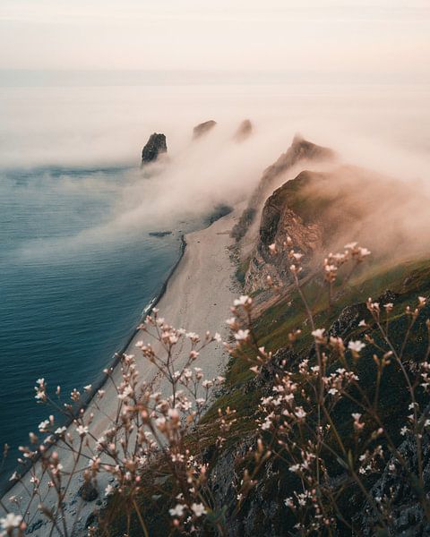 Mother Nature by Hello Pompoyo