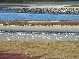 In the Prunje (3) by Mario Dekker-Janssen