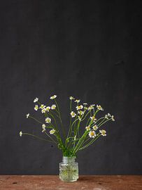 Marguerites en vase