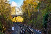 A view of a railroad track in a canyon
