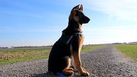 Mini-lifeguard by Simone van Heumen