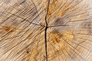 Natuurlijk hout met kruis van Rietje Bulthuis