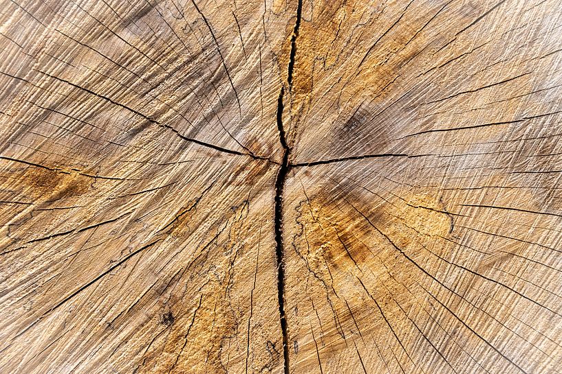 Natural wood with cross by Rietje Bulthuis